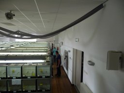 p1040750